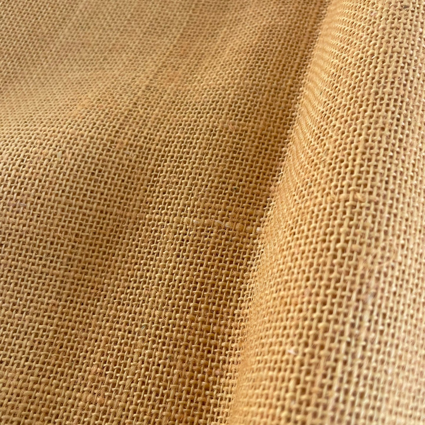 Jute jaune