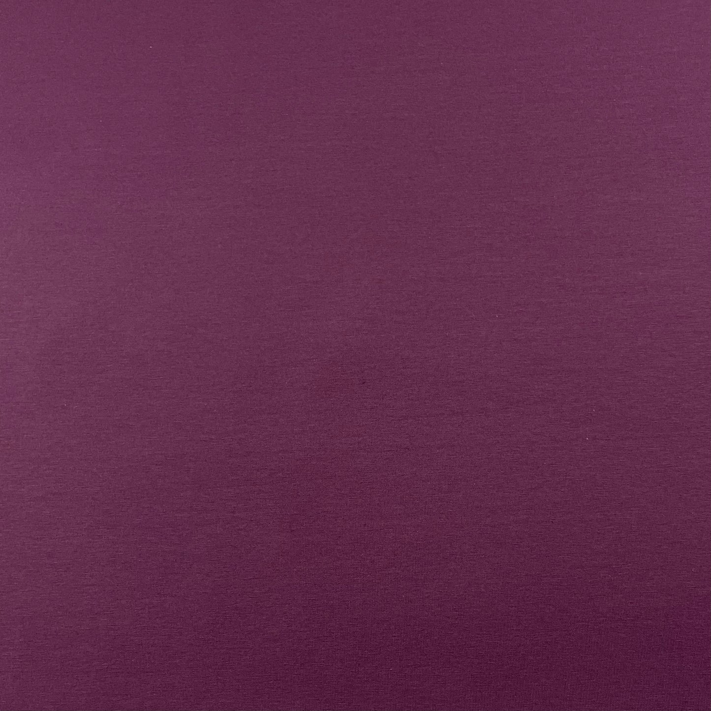 Jersey uni prune