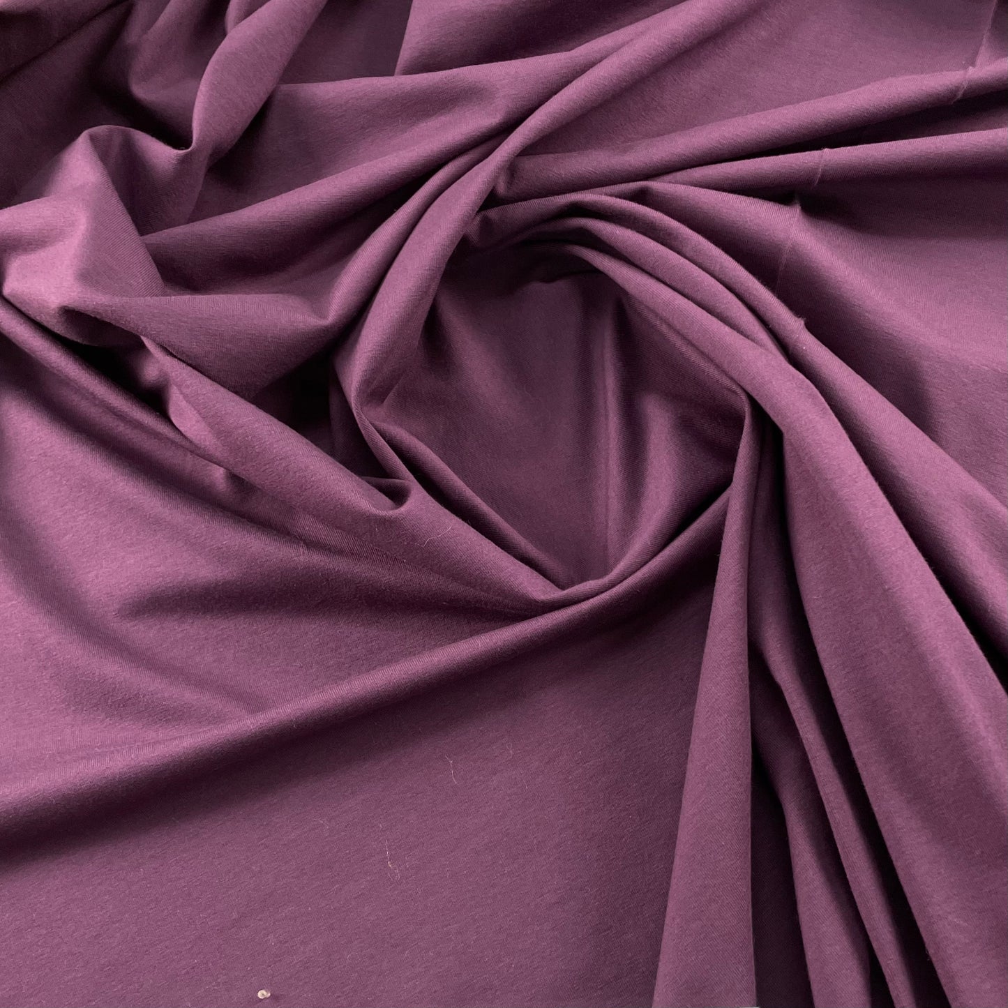 Jersey uni prune