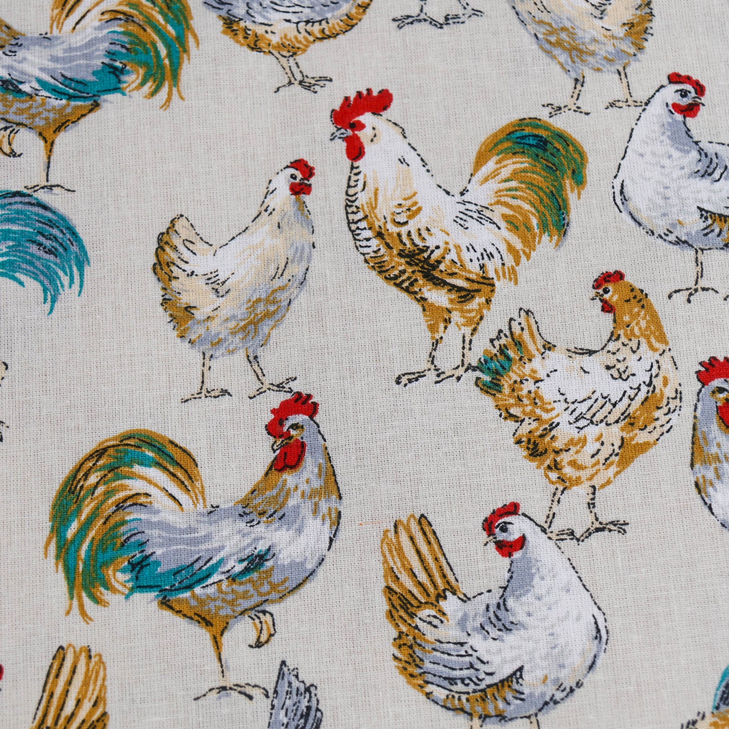 Coton Monique la poule