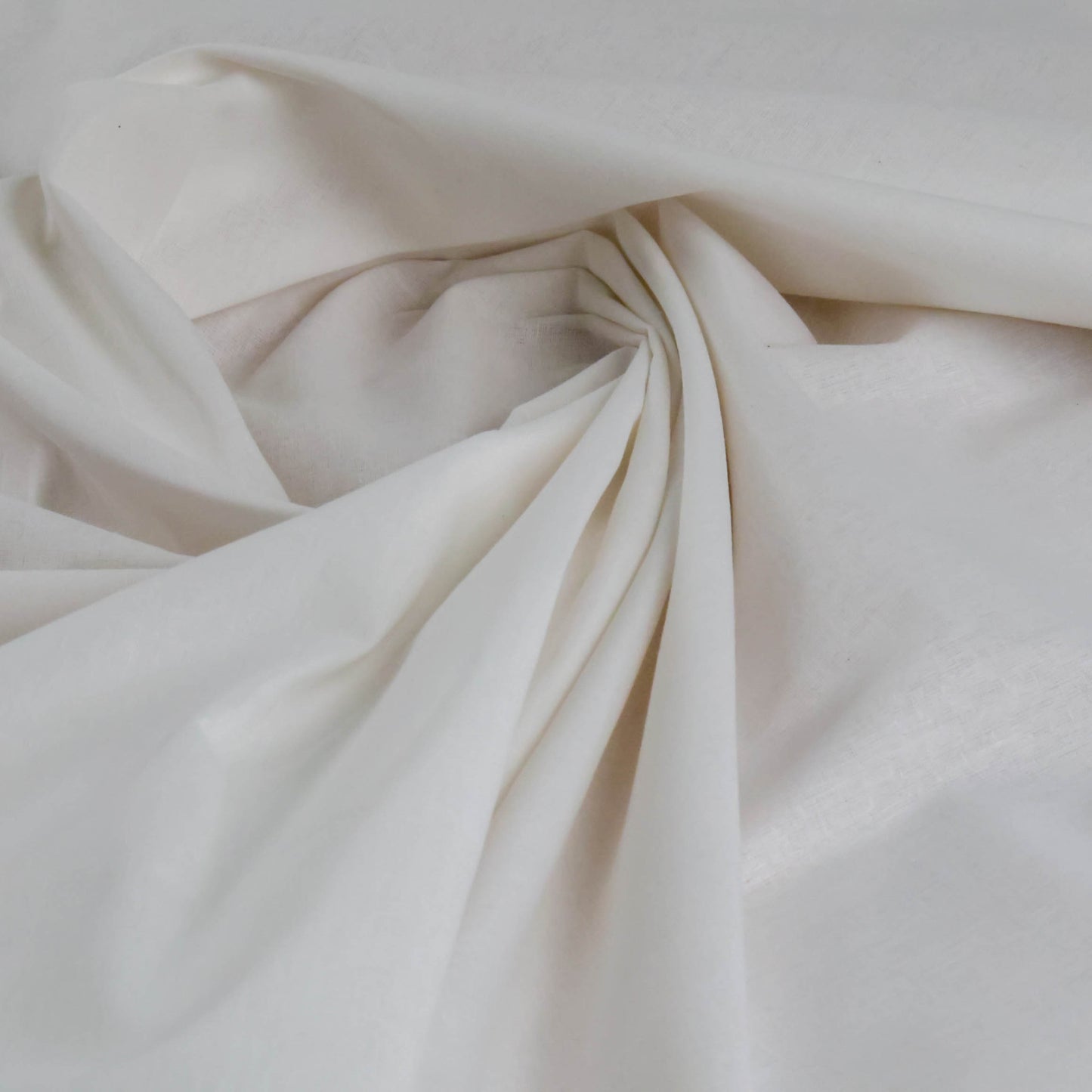 Coton Blanc
