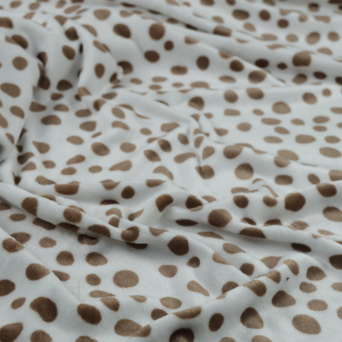 Polaire à pois marron sur fond blanc