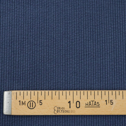 Velours côtelé bleu