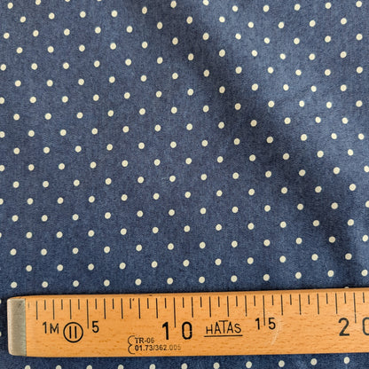 Chambray bleu ciel à petits pois blancs